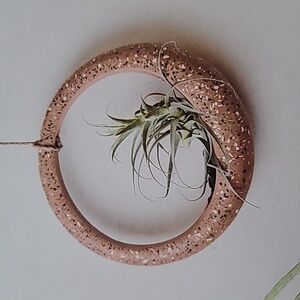 Project 62 Hanging Wall Planter